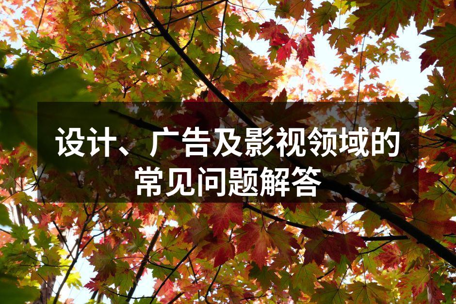 设计流程中的关键步骤